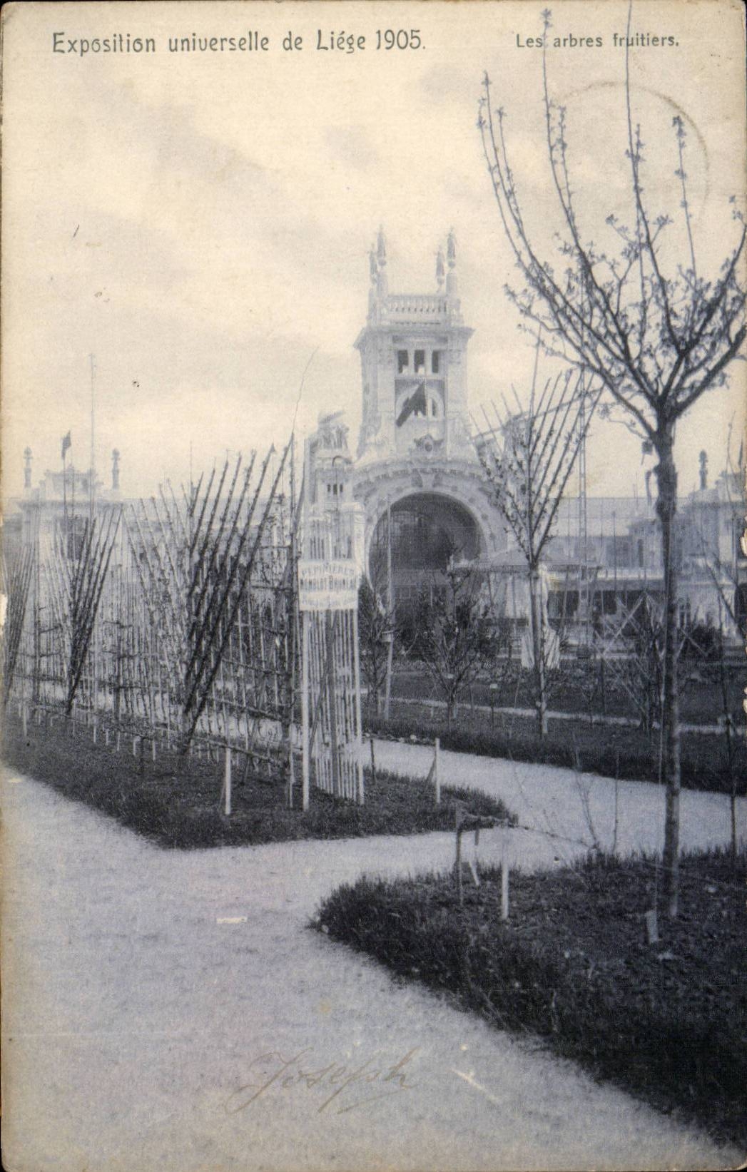 Belgie Belgique Exposition de Liege 1905 Les arbres fruitiers