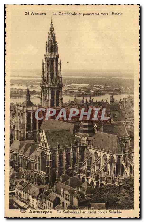 Belgie Belgique Anvers CPA La cathedrale et panorama vers l'Escaut 