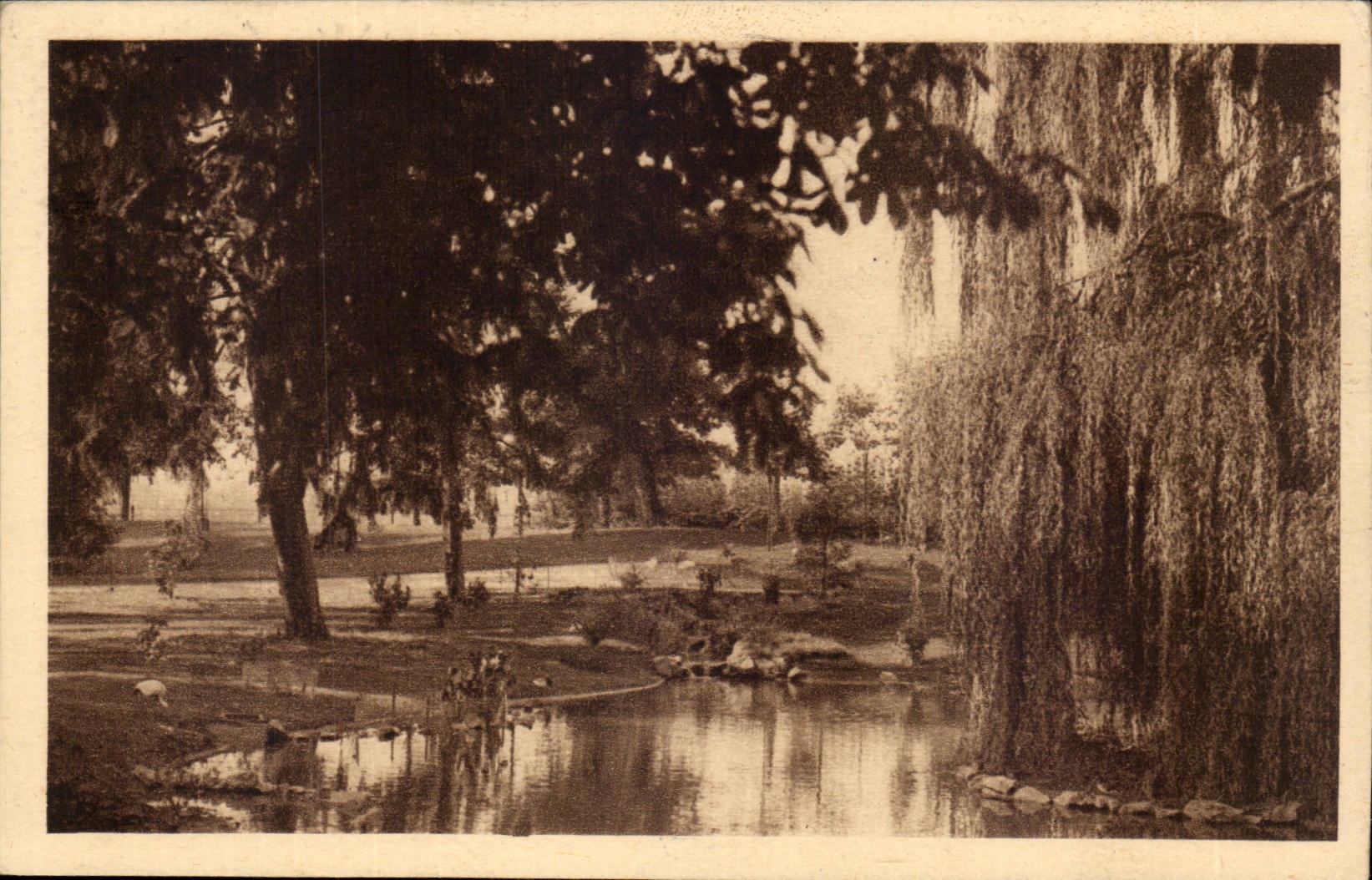 Vichy CPA Les parcs et le nouveau bassin des cygnes