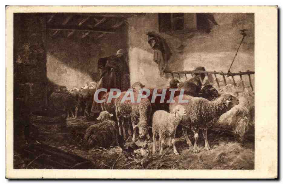 CPA Jacque La petite bergereie (moutons)