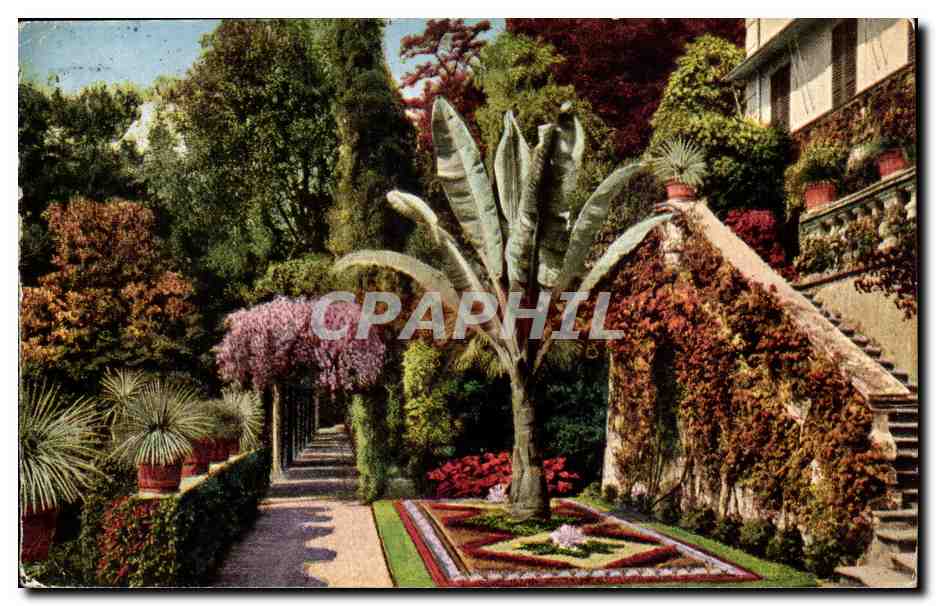 Italie - Italia - Cadenabbia - Giardino della Villa Carlotta CPA 