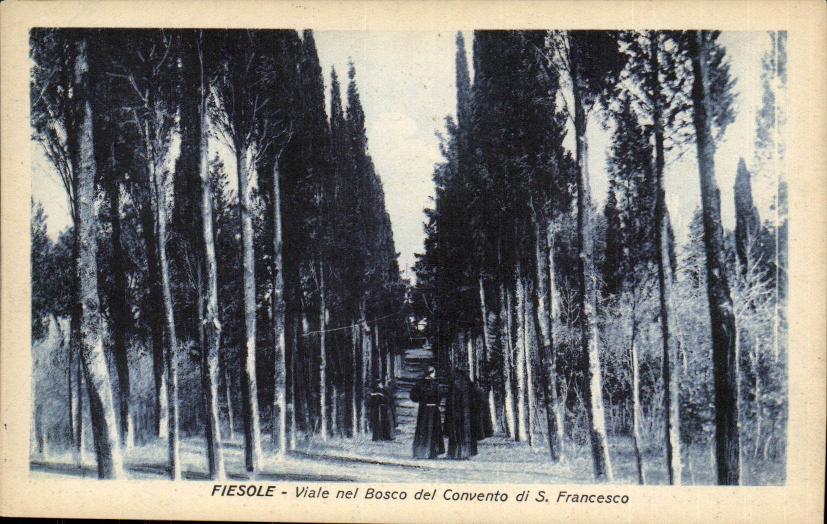 Italie Italia Fiesole CPA Viale nel Bosco del Convento di S Francesco