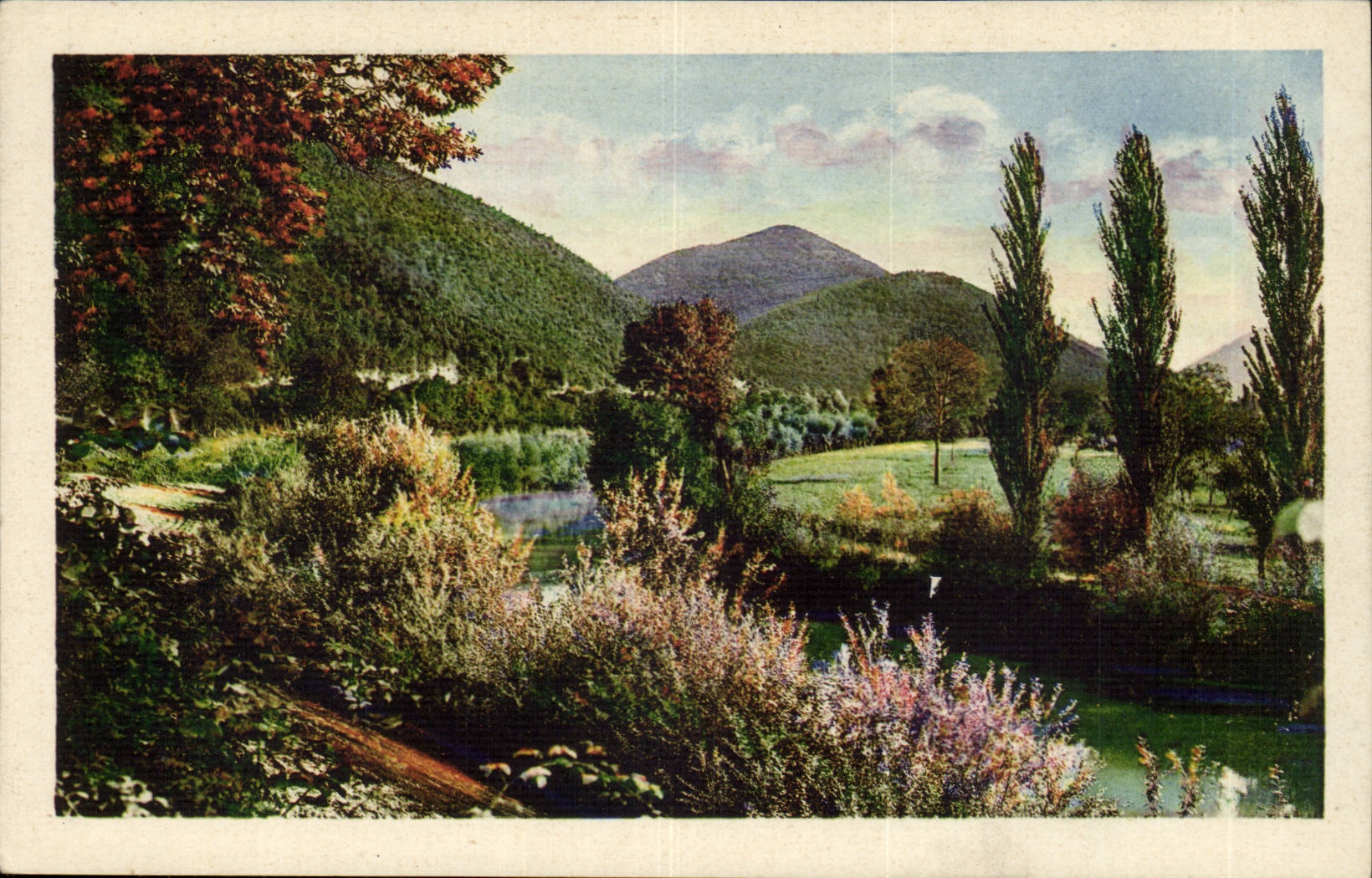Italy - Italie - Les Arbres - La Compagne - CPA 