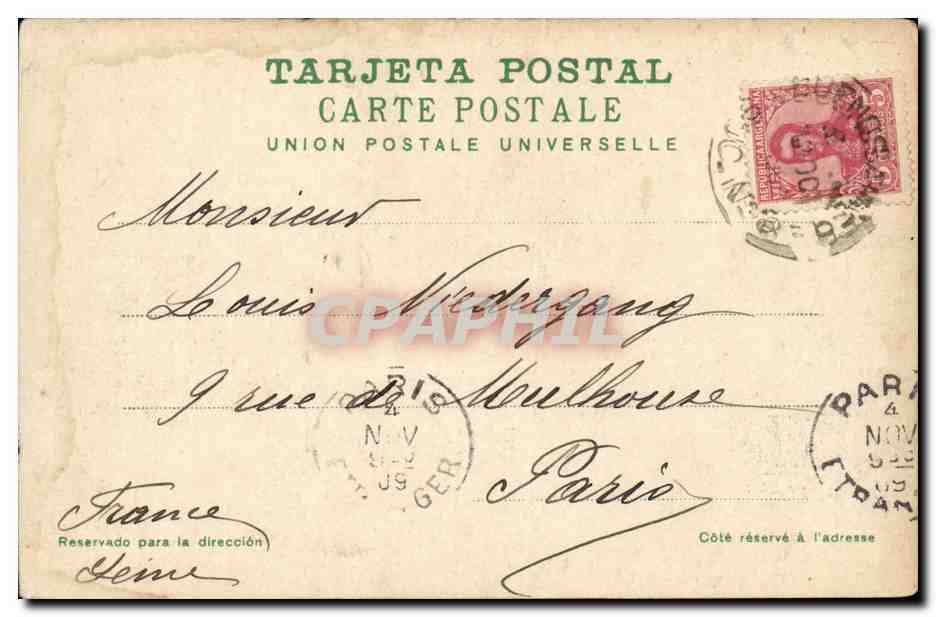 Italy - Italie - Jardin Zoologio - Palermo -CPA  — Back