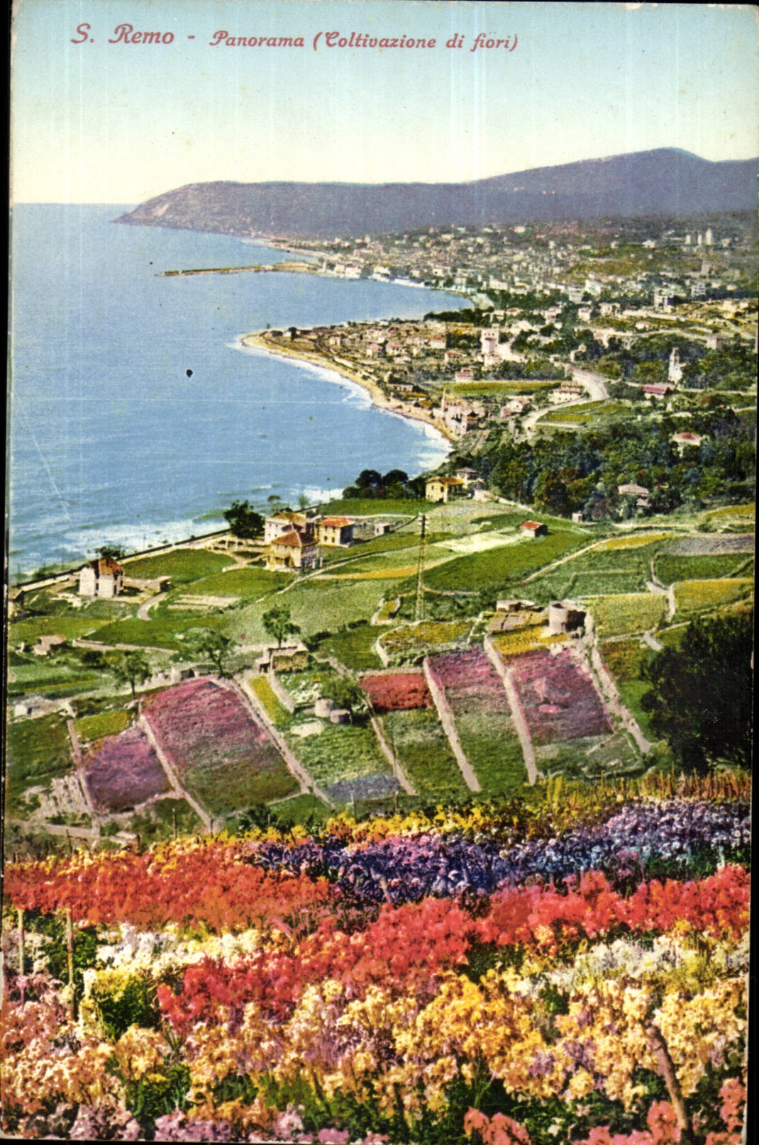 Italie Italia CPA S Remo Panorama (cotltivazione di fiori)