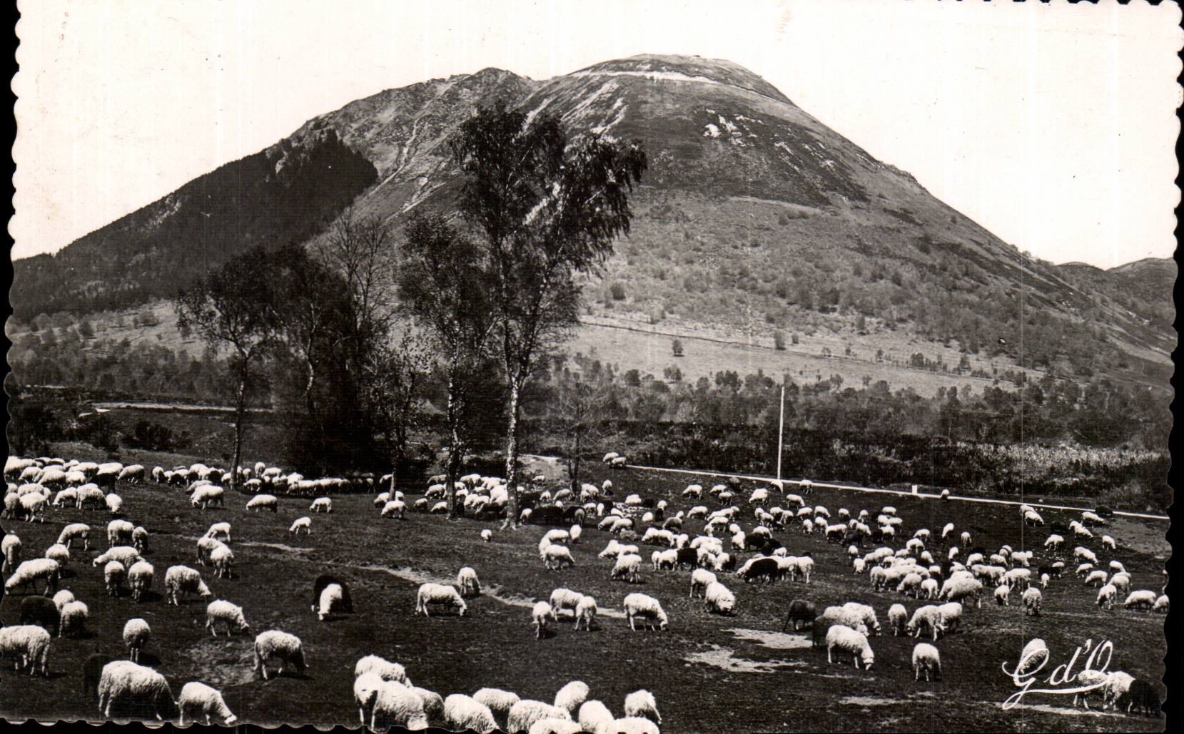 Pâturages au pied du Puy-de-Dôme — L'Auvergne — éditeur G.d'P.