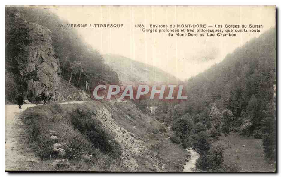 Puy de Dome- Environs de Mont Dore- Les Gorges du Surain- Gorges profond et tres pittoresque--CPA 
