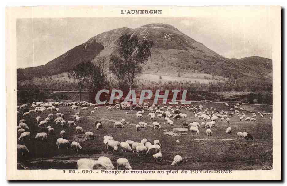Puy de Dome- Pasage de moutons au pied du Puy de Dome-CPA