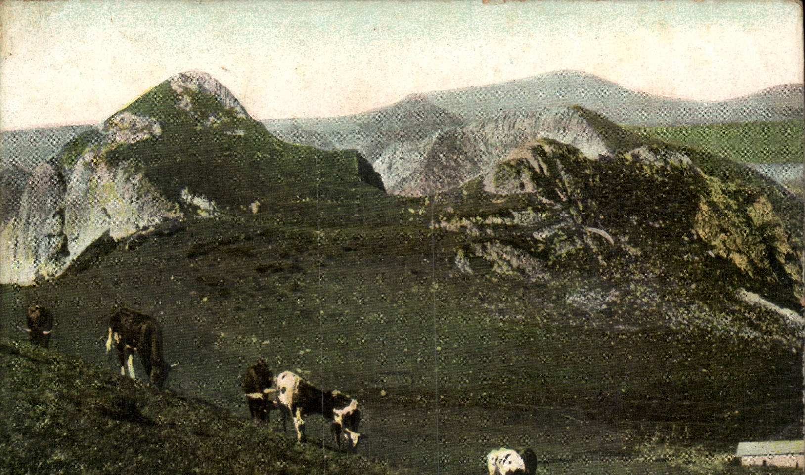 Paysage montagneux avec vaches — éditeur L.V. & Cie