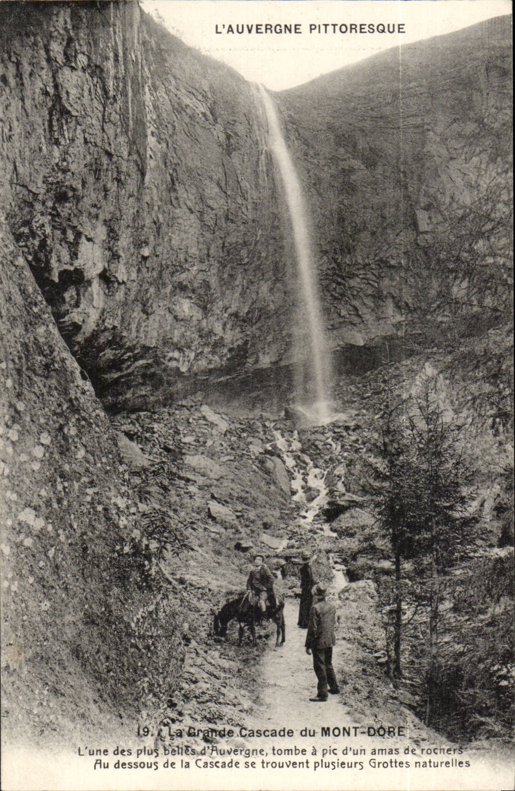 Puy de Dome - Le Mont Dore - La Grande Cascade - L'une des plus belles d'Auvergne - CPA 