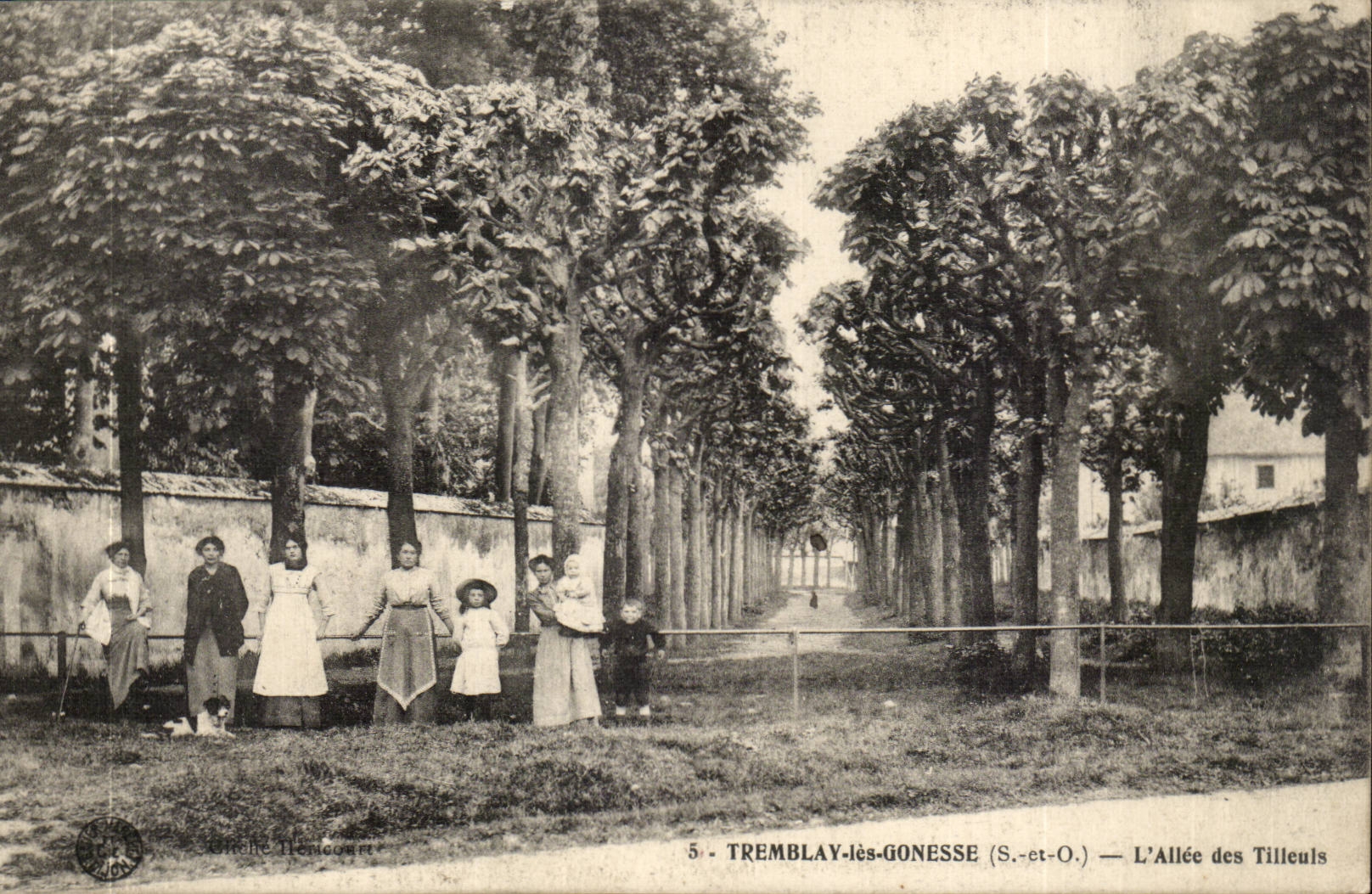 Val D'Oise- Tremblay-les-Gonesse- L'Allee des Tilleuis-enfant -CPA