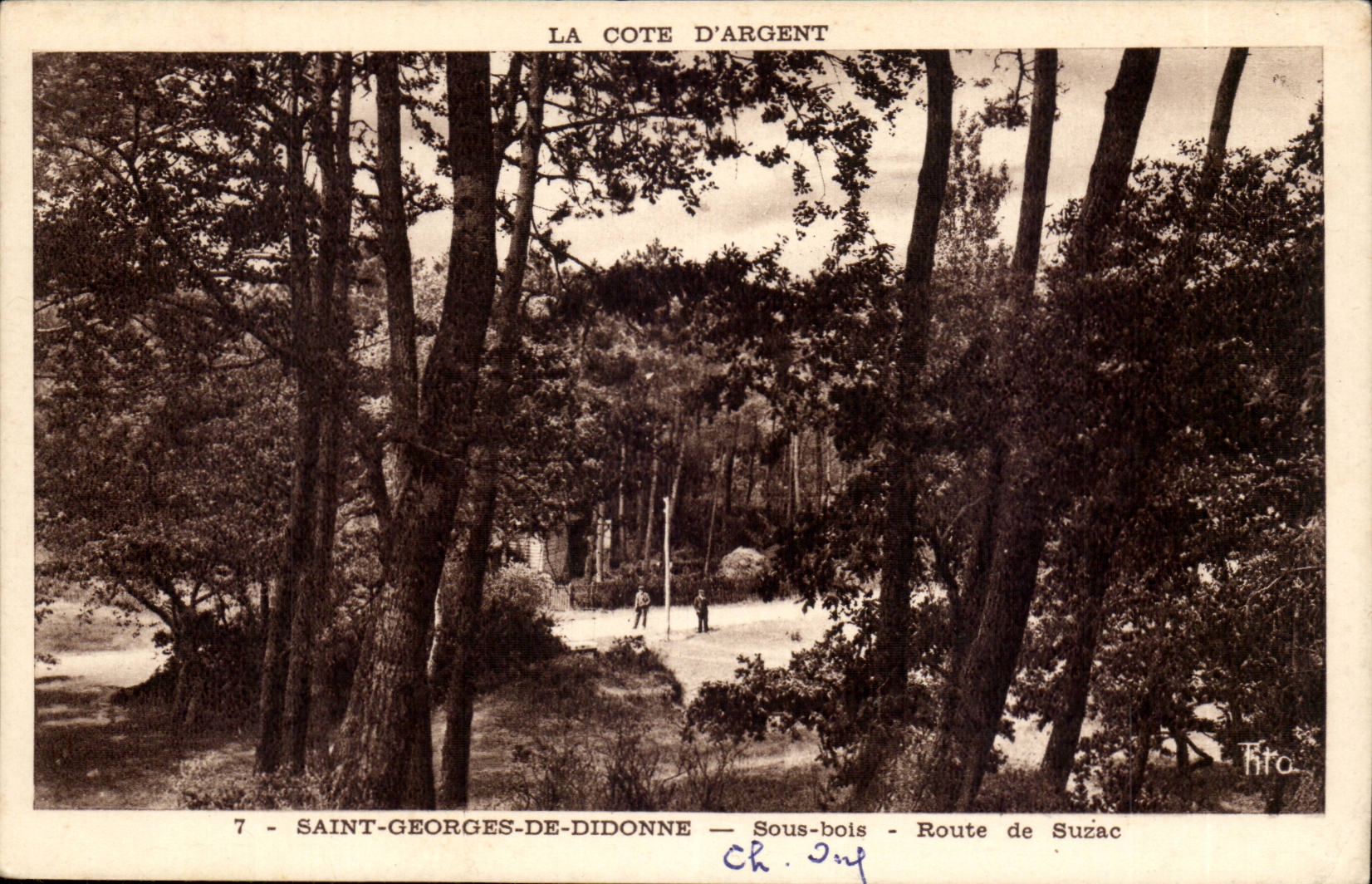 La Côte d'Argent — Sous-bois — Route de Suzac — Saint-Georges-de-Didonne — Éditeur Tiro, n°7