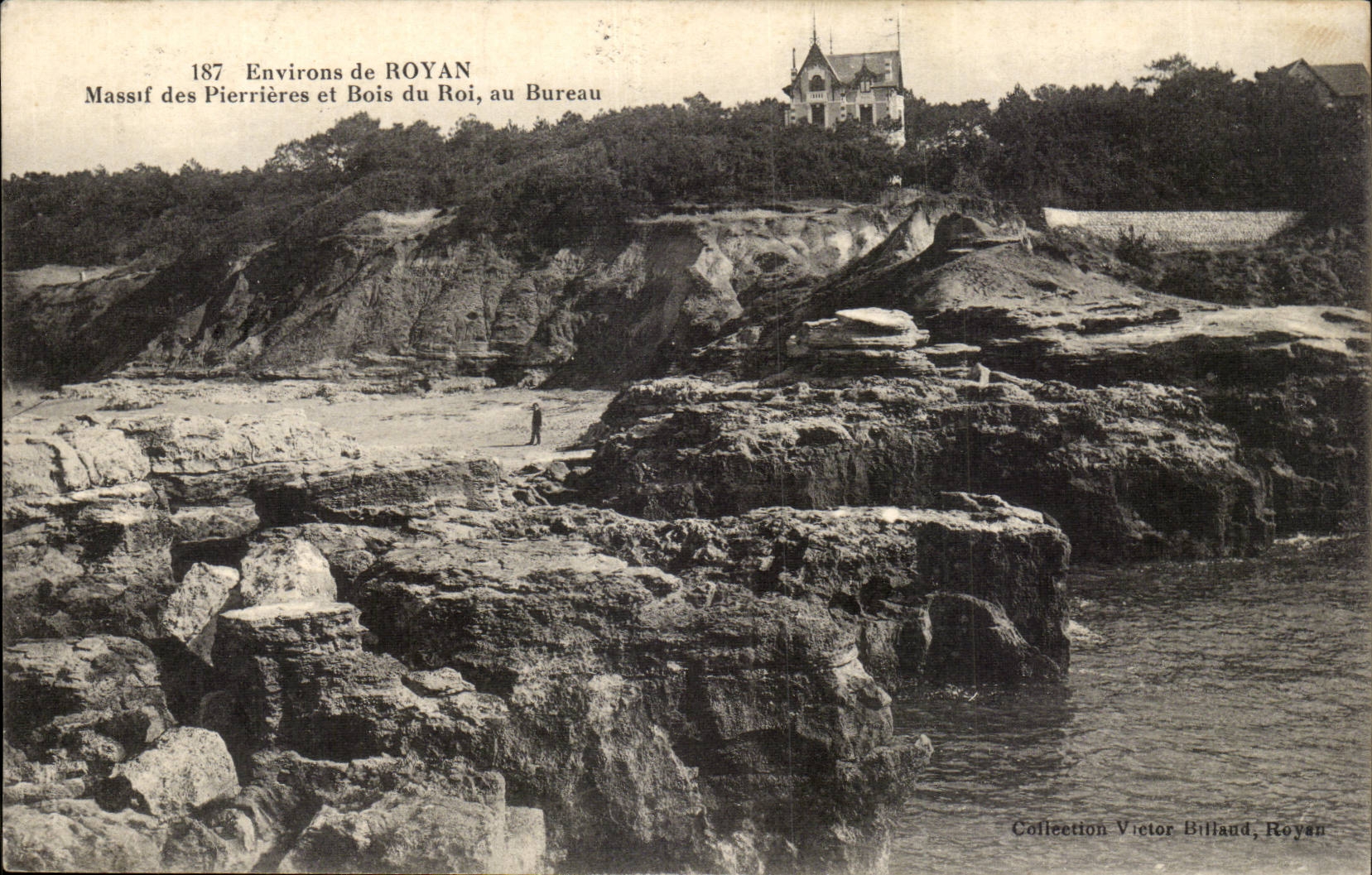 Environs de Royan CPA Massif des Pierrieres et bois du roi au Bureau
