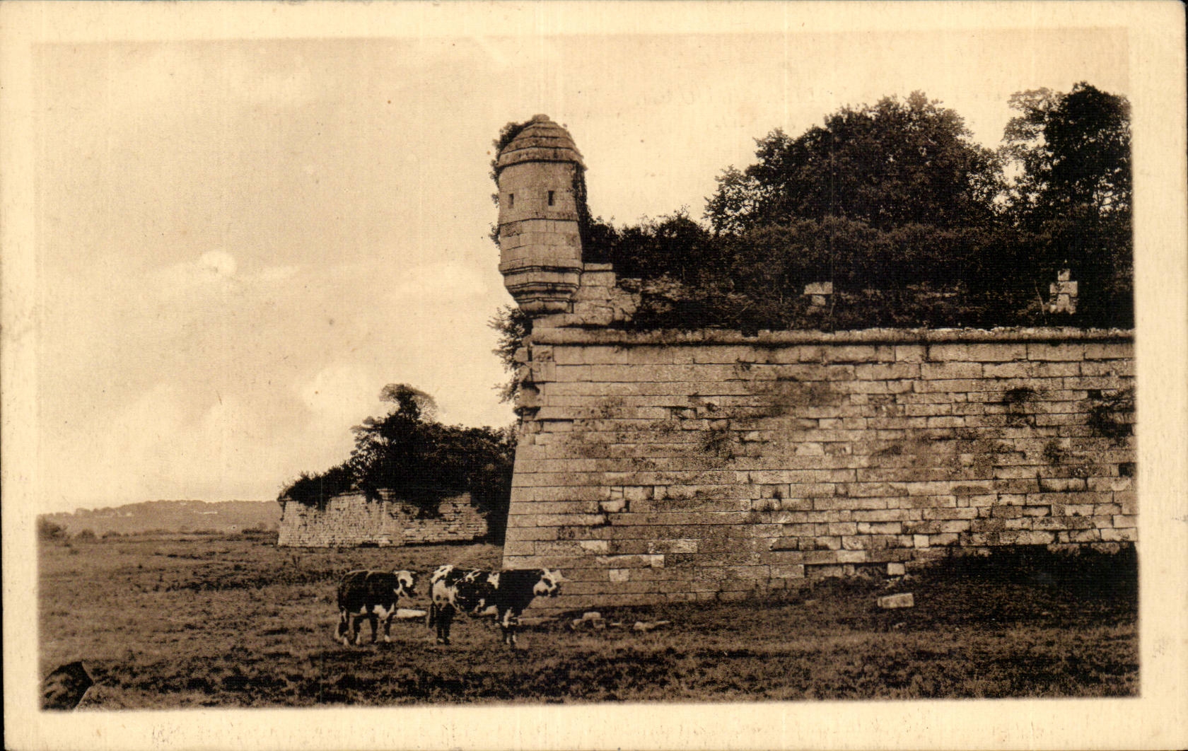CPA Ancienne ville forte de Ilies Brouage Cote Nord Est des remparts