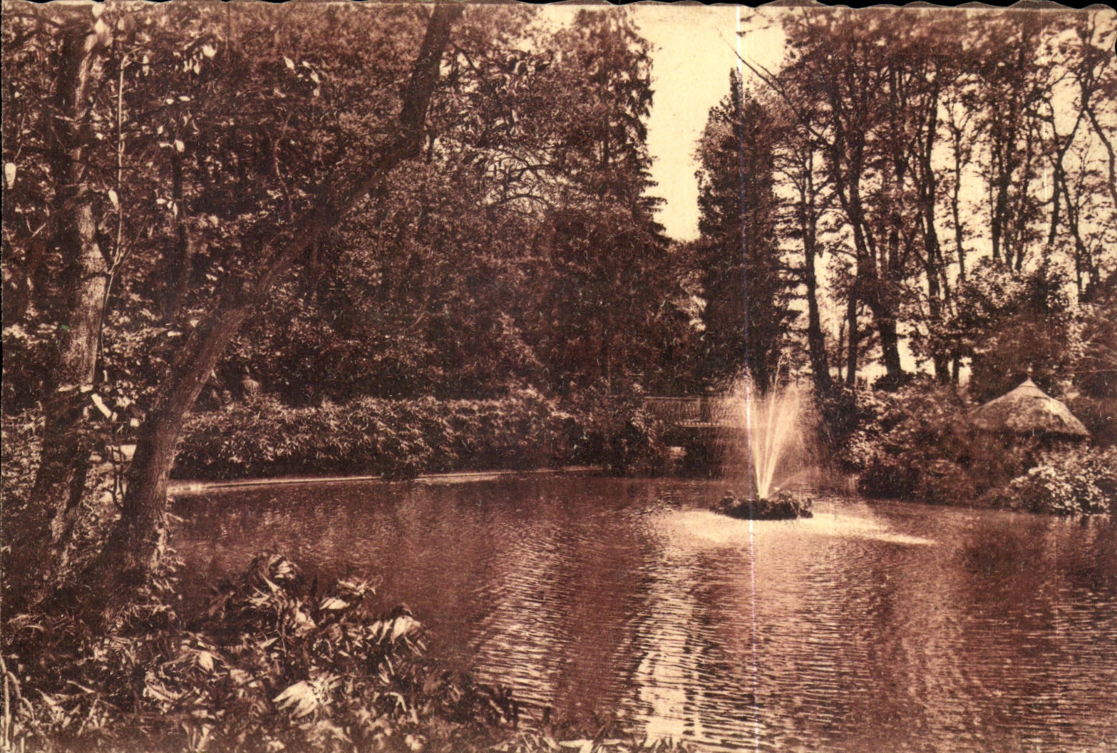 Vichy CPA Le bassin dans les nouveaux parc