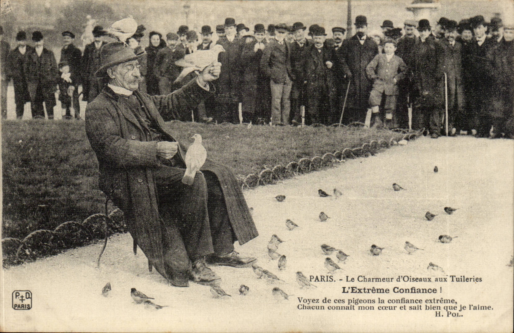 CPA Paris Charmeur d'oiseaux aux Tuileries Louvre L'extreme confiance ! TOP Folklore Petits Metiers (pigeons)