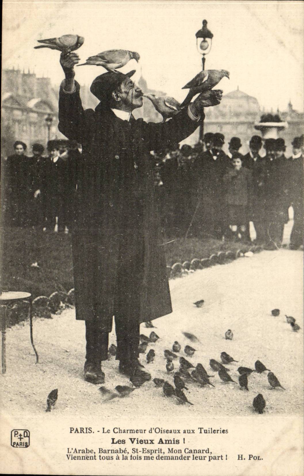 CPA Paris Charmeur d'oiseaux aux Tuileries Louvre Les vieux amis ! TOP Folklore Petits Metiers (pigeons)