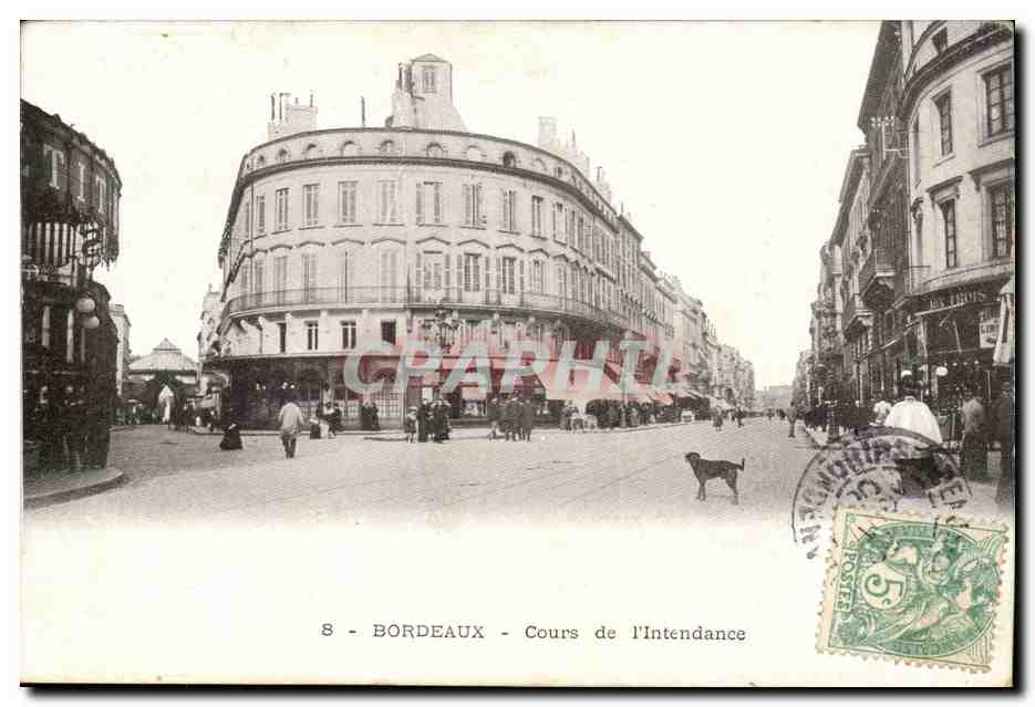 Bordeaux - Cours de l'Intendance - chien - CPA 