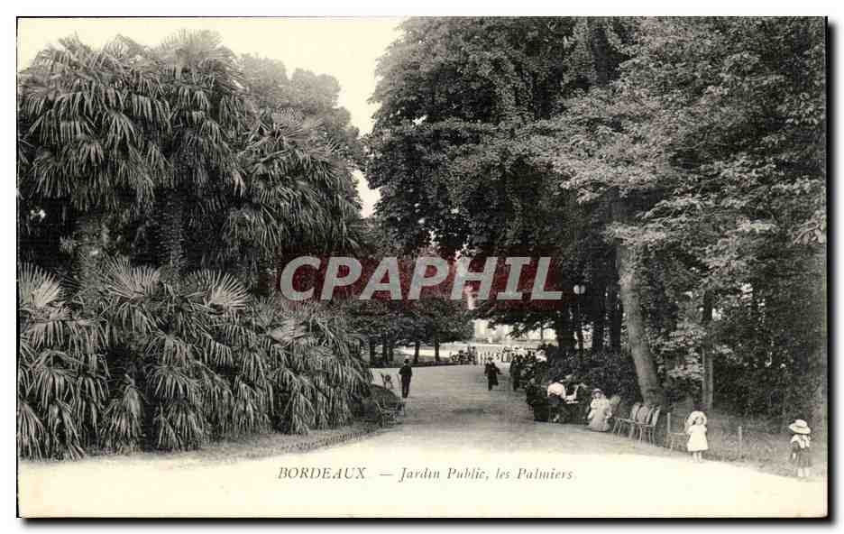 Bordeaux - Jardin Public Les Palmiers - CPA 