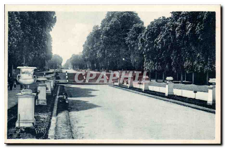 Saint Cloud CPA Le parc Les parterres et l'allee de Marnes