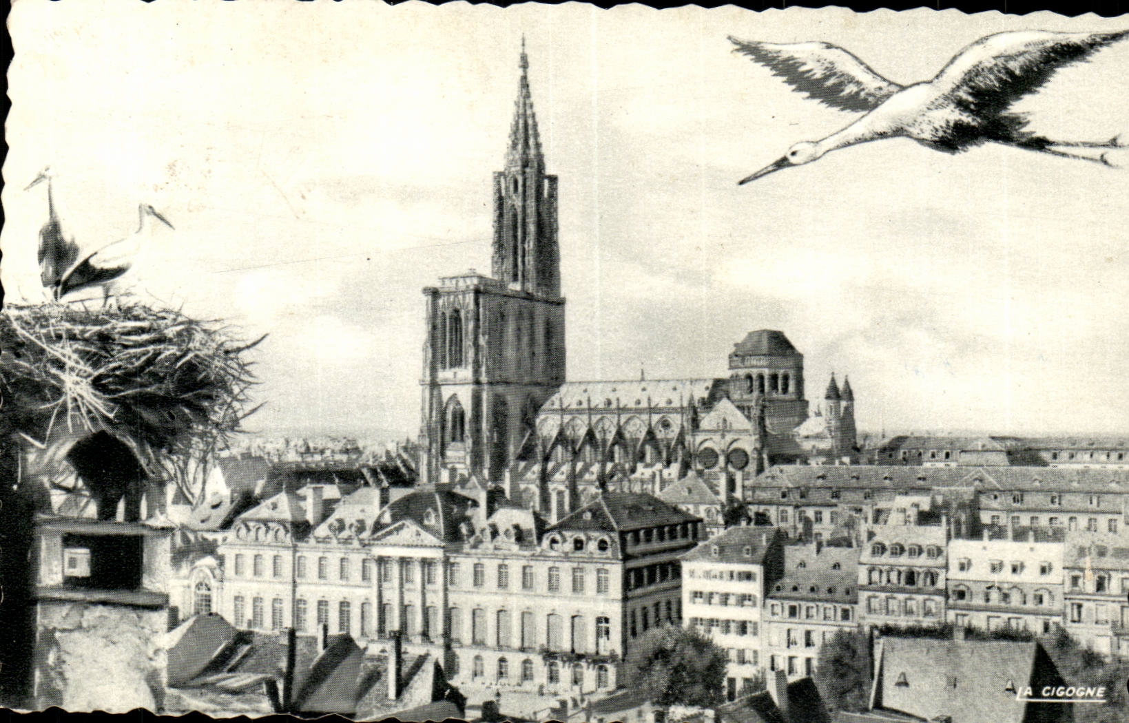 Nantes CPA + pub Agence Hachette de Nantes 15bis rue de Strasbourg (cigogne)