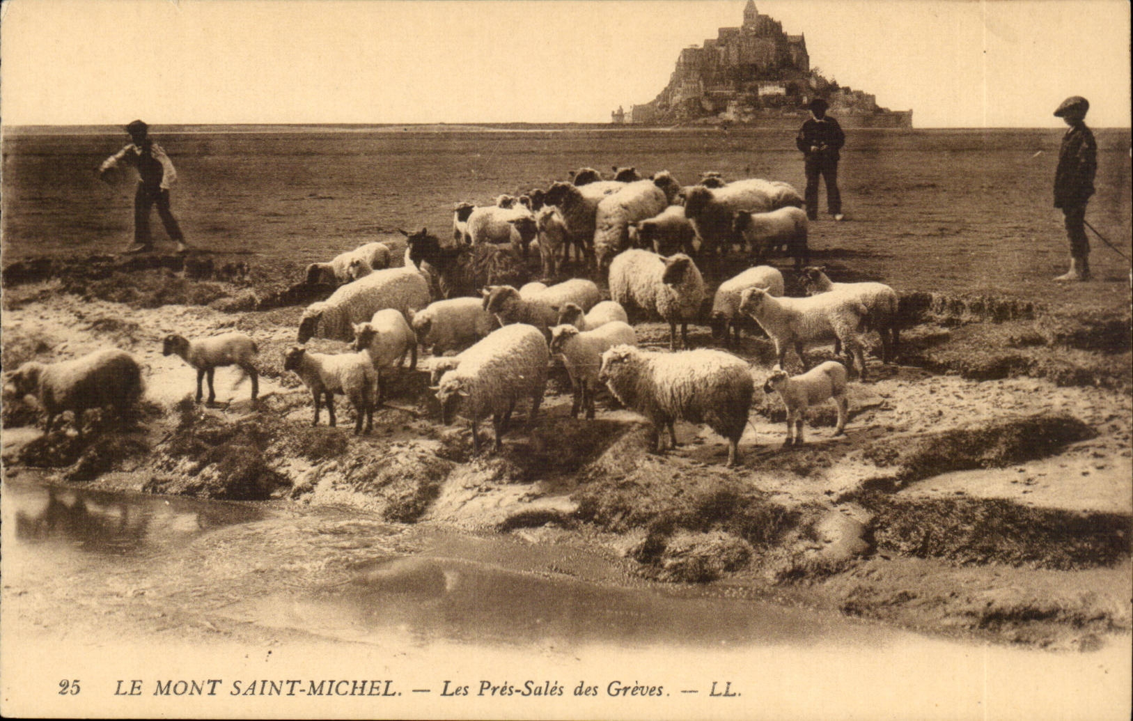 Le Mont Saint-Michel — Les Prés-Salés des Grèves — LL. — n°25