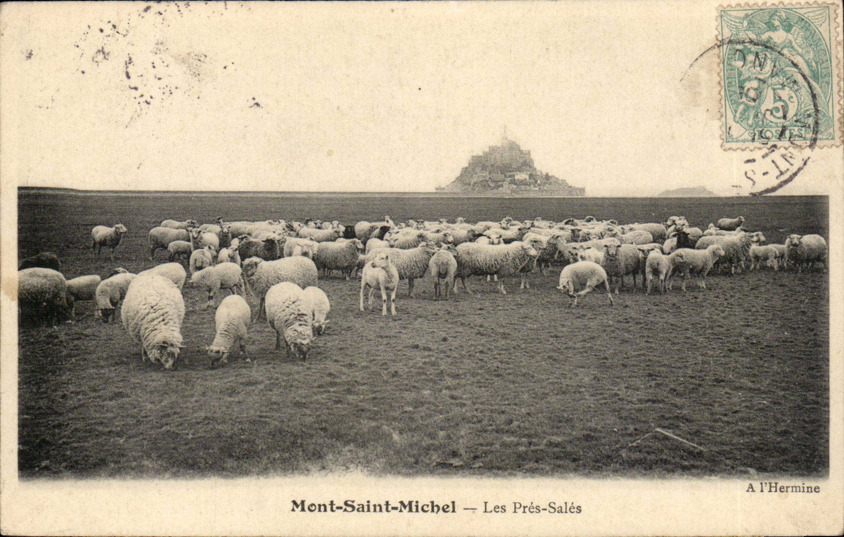 Mont saint Michel CPA Les pres sales (moutons)