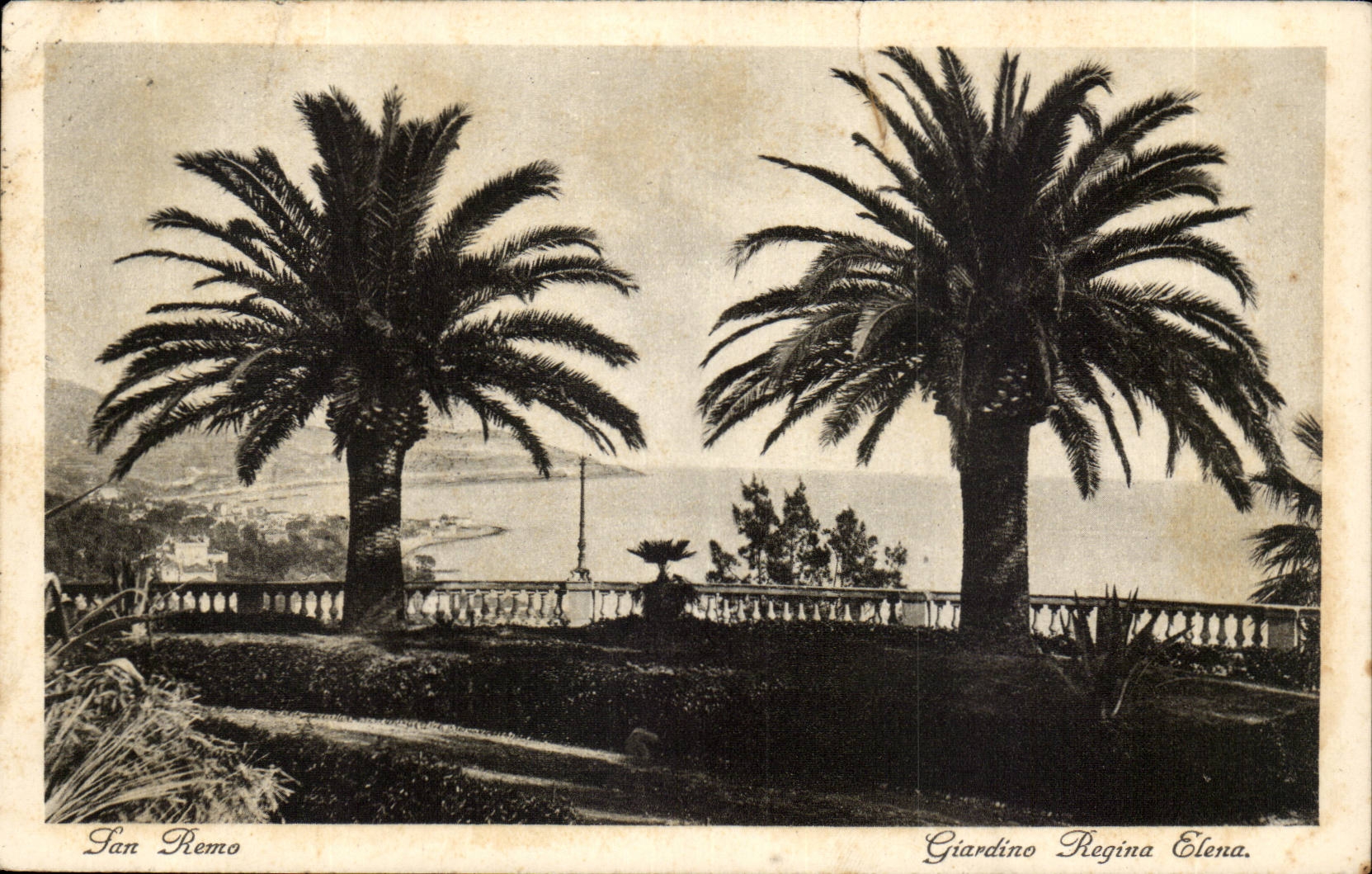 Italie Italia San Remo CPA Giardino Regina Elena (palmier)