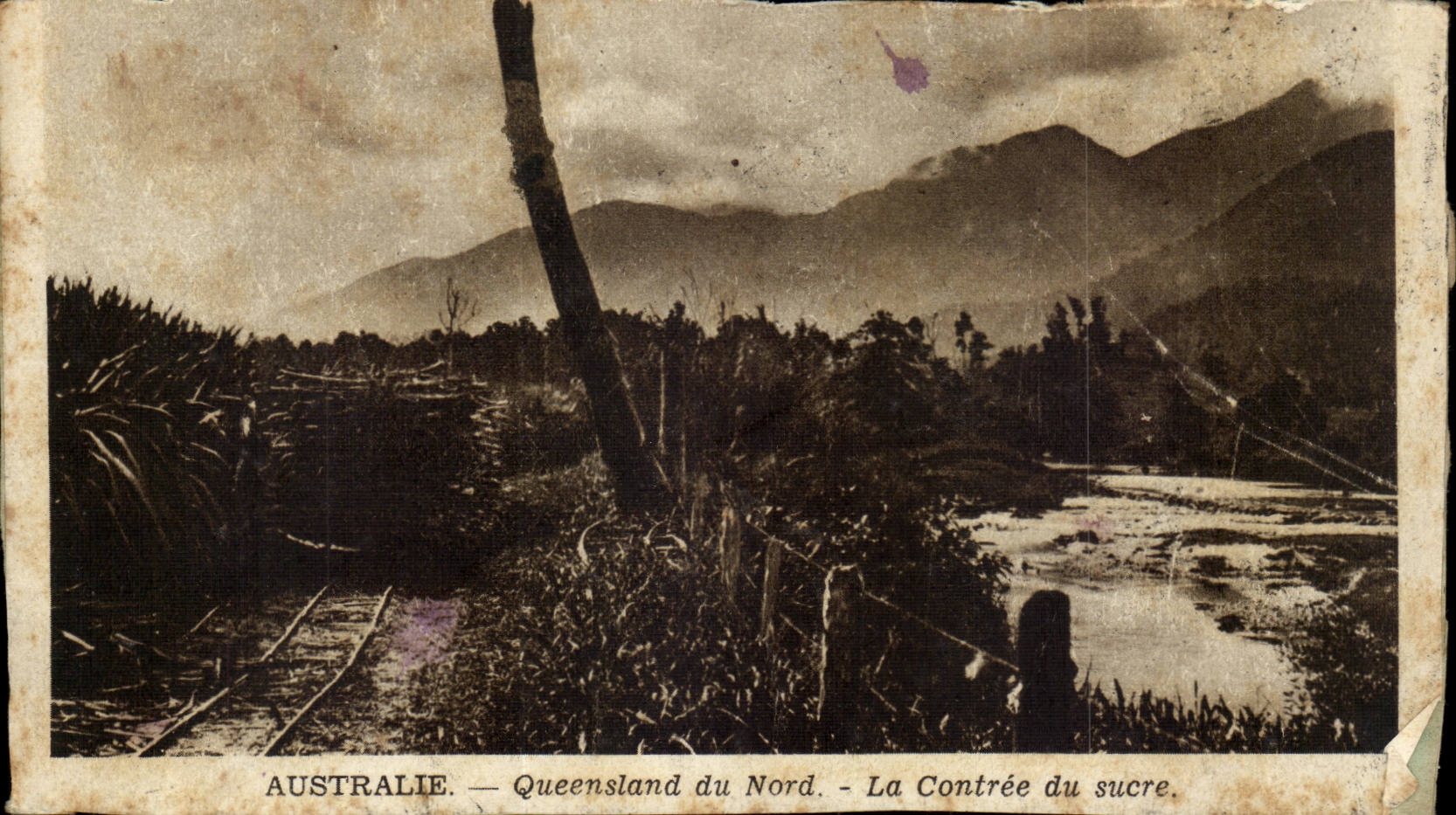 australie Australia CPA Queensland du nord La contee du sucre