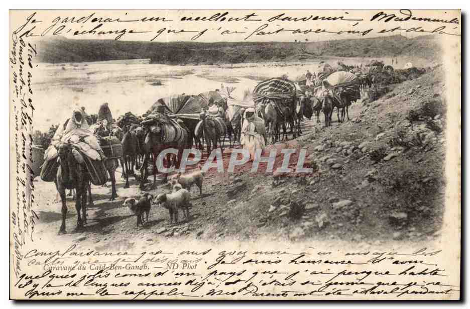 Caravane du Caïd-Ben-Ganab — ND Phot
