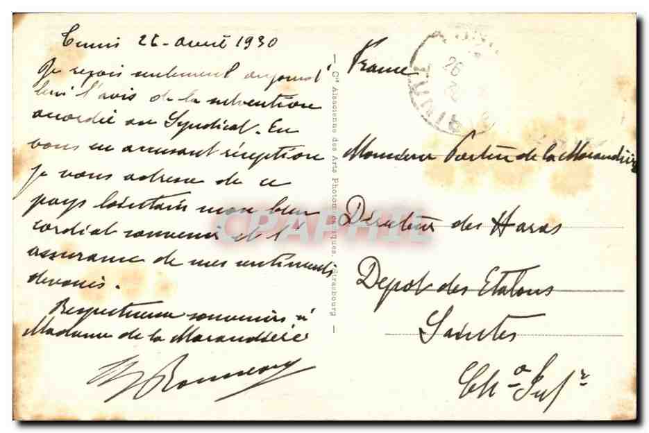 CPA Cavaliers arabes Un Goum Tunisie Chevaux Horses — Verso