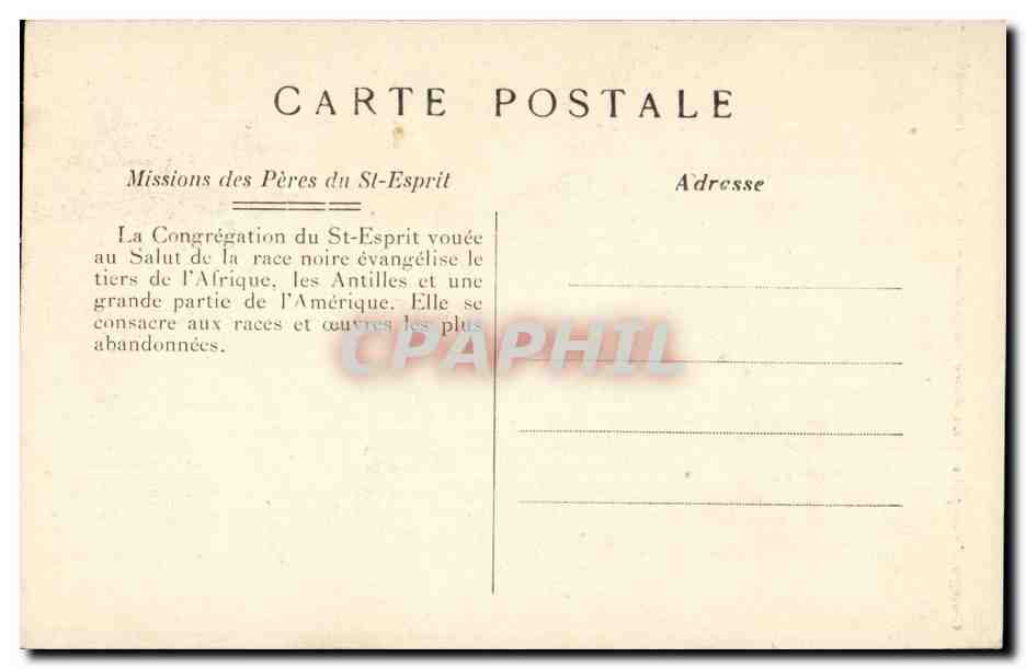 Congo Français — La Flore Congolaise — Un arbre de la montagne — Missions des Pères du St-Esprit — Verso