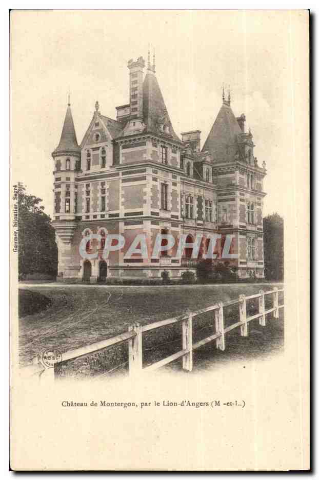 CPA Chateau de Montergon par le Lion d'anger