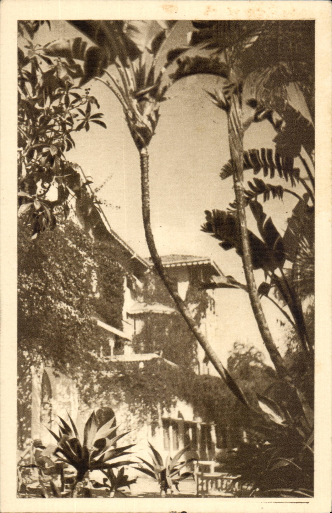 Algerie Alger CPA Hotel St George
