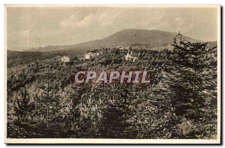 Vue de montagnes et forêts — éditeur non visible