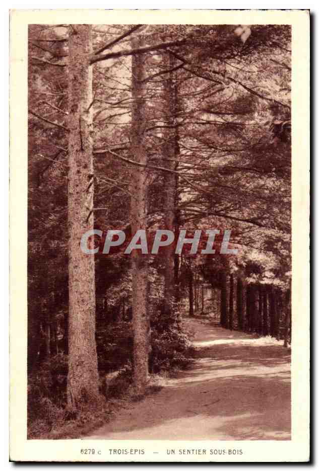 Trois-Epis- Un Sentier Sous-Bois -CPA