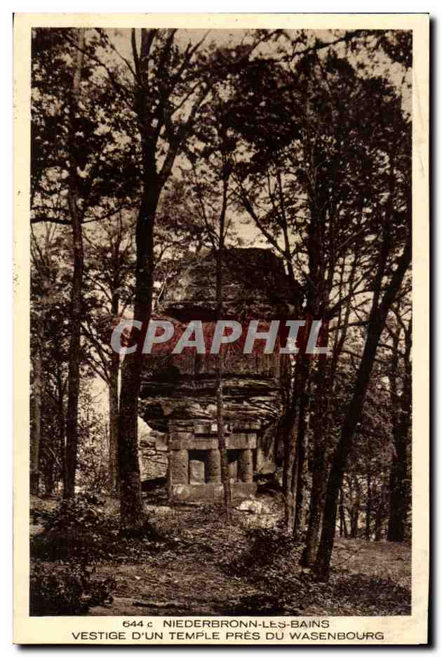 Vestige d'un temple près du Wasenbourg — Niederbronn-les-Bains — série 644, éditeur CPAPHIL