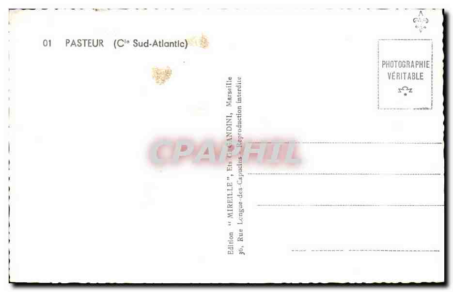 CPA Paquebot Pasteur Cie sud atlantique — Verso