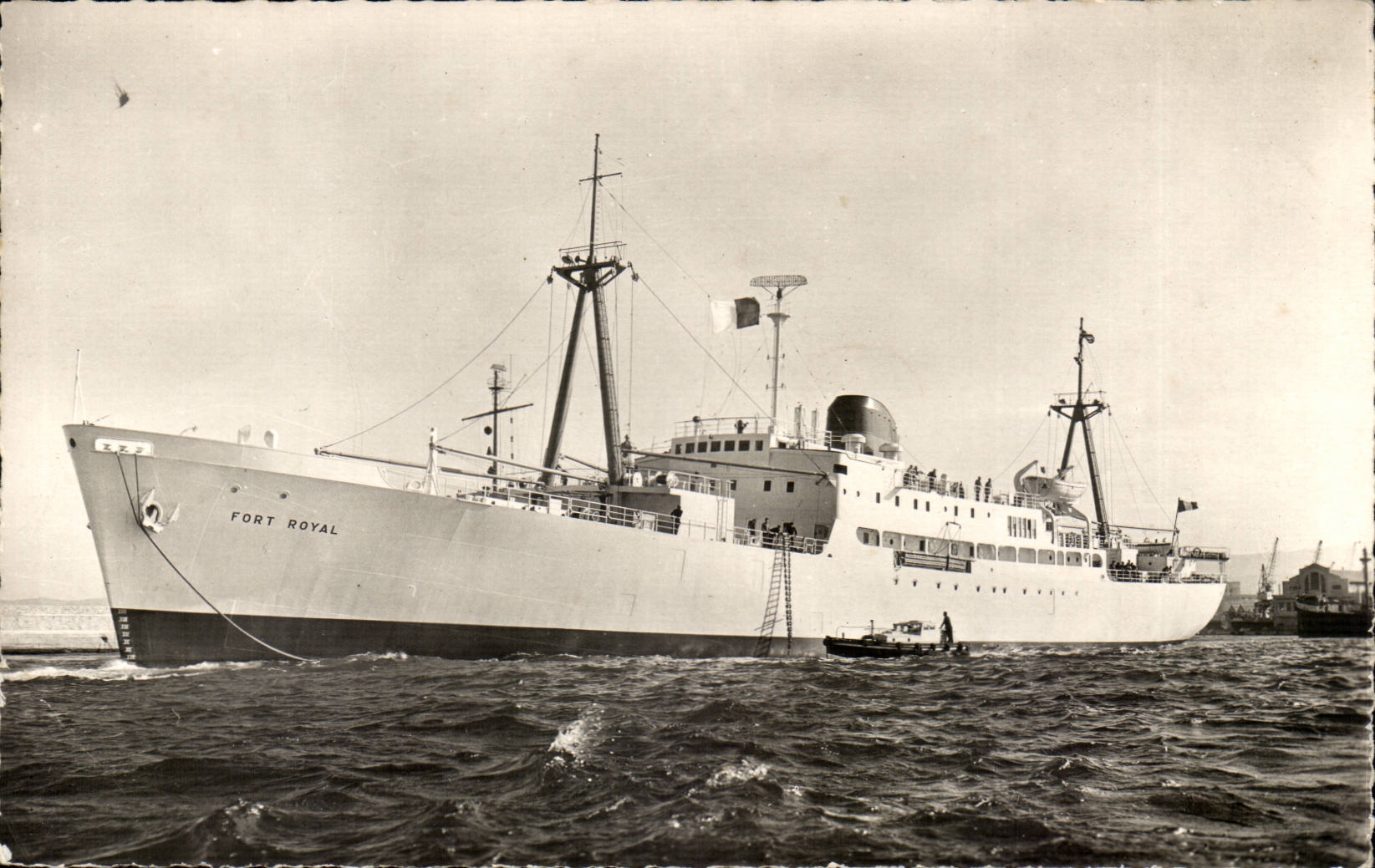 CPM Bateau Paquebot Compagnie Generale Transatlantique French Line Fort CAroline Fort Royal Fort Saint Pierre Bananiers 