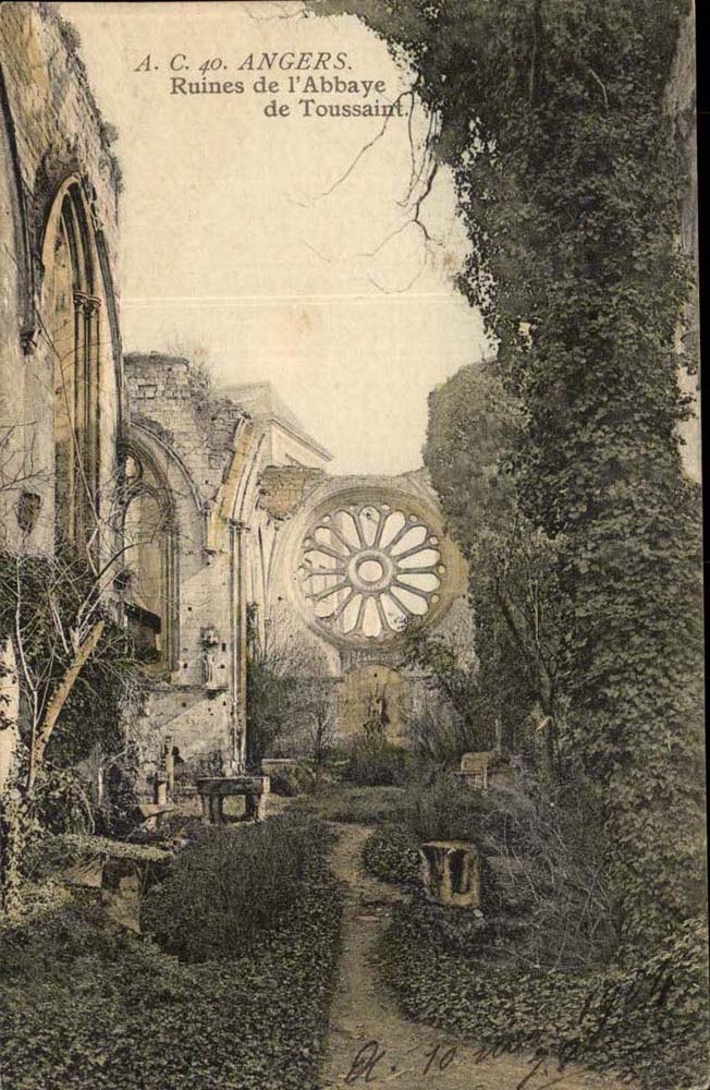 Angers CPA Ruines de l'abbaye de Toussaint