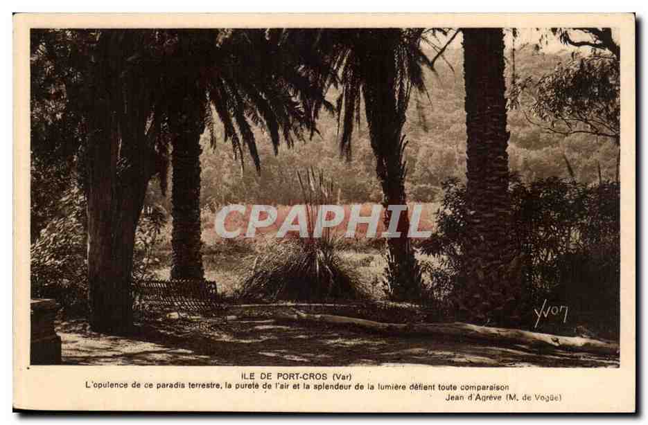 Île de Port-Cros (Var) — paysage de palmiers et banc — texte de Jean d'Agrève (M. de Vogüé) — n° 14
