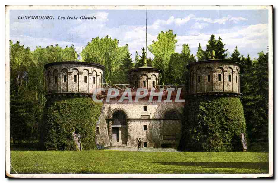 Luxembourg - Les Trois Glands - CPA 
