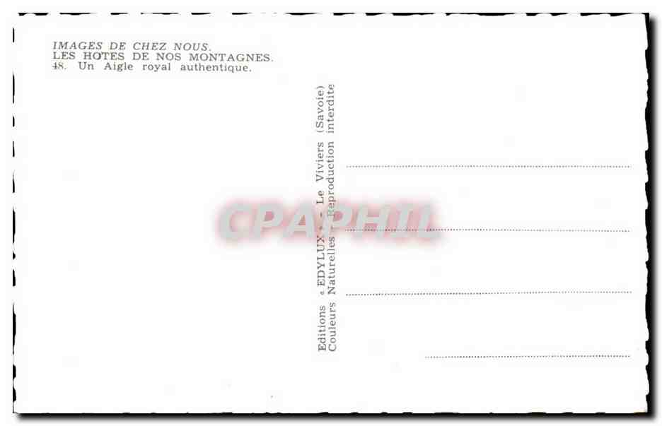Aigle royal — Savoie — Éditeur Edy, n°48 — Reverso