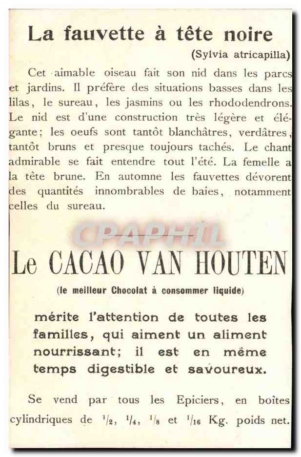 Oiseaux - La fauvette a Tete Noire - Le Cacoa Van Huten - CPA  — Rückseite