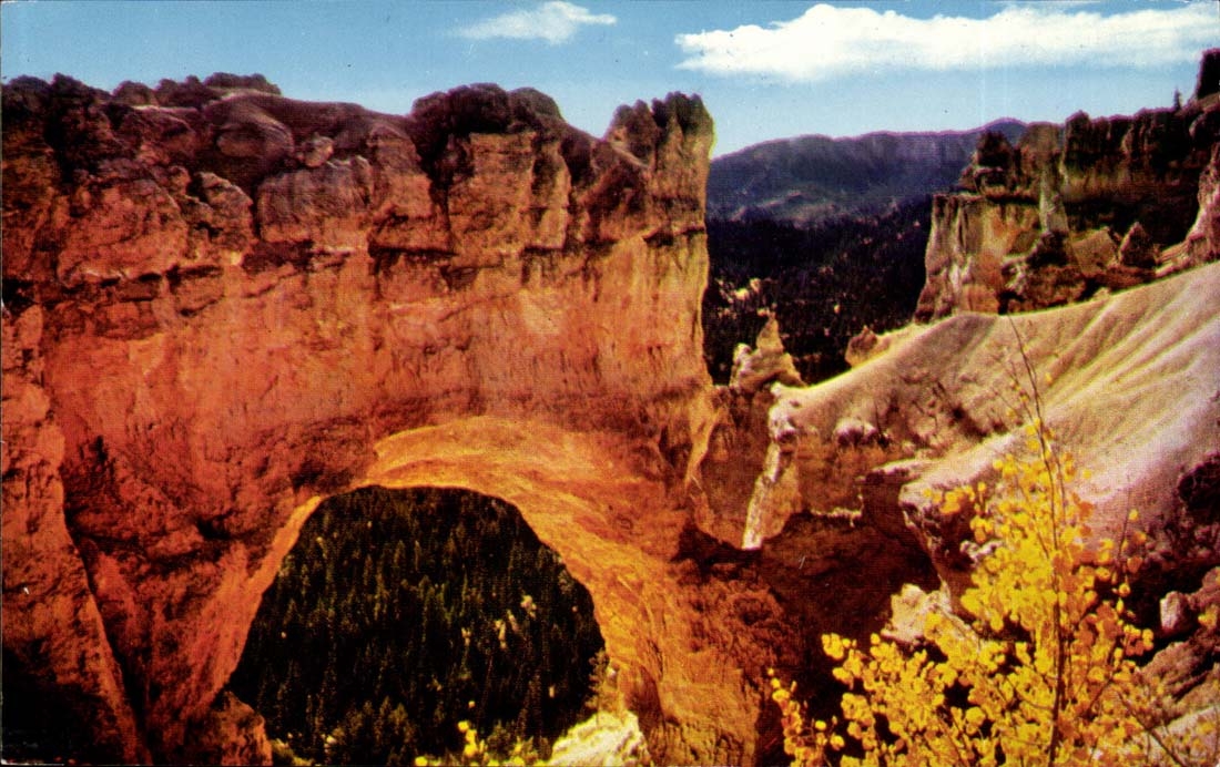 Etats - Unis - USA - Bryce Canyon - National Park - Natural Bridge - CPA 