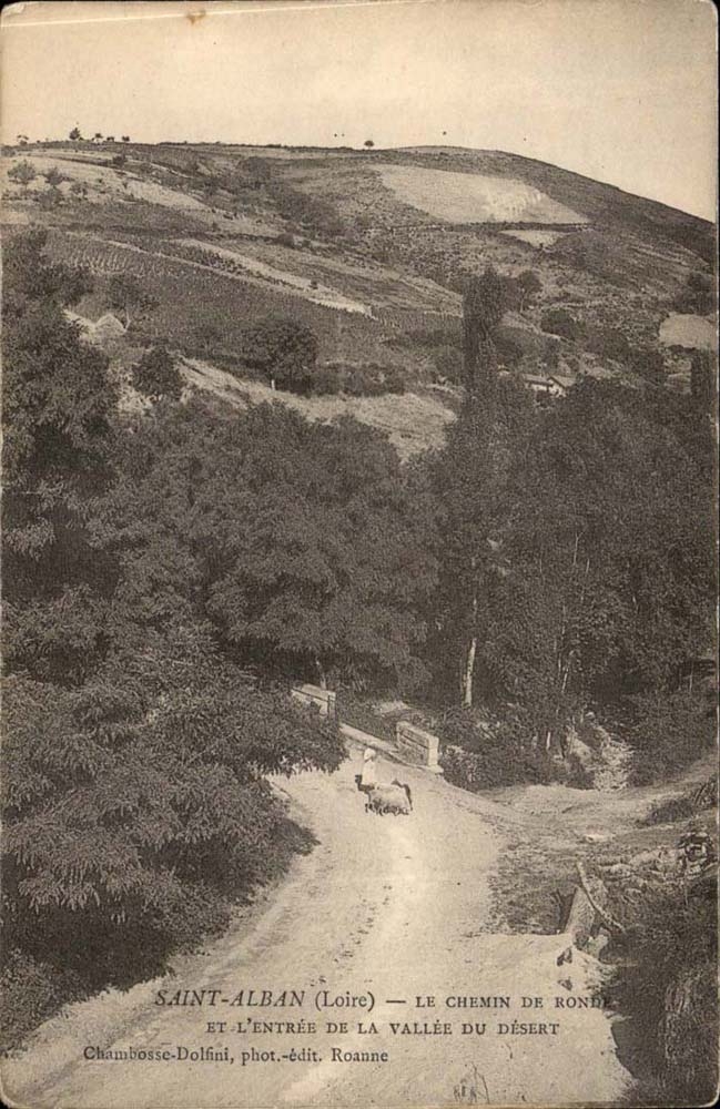 Saint Alban CPA Le chemin de ronde et l'entree de la vallee du desert 