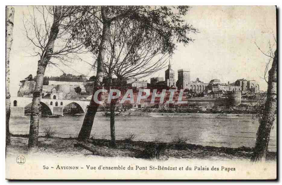 Avignon CPA Vue d'ensemble du pont St Benezet et du palais des papes