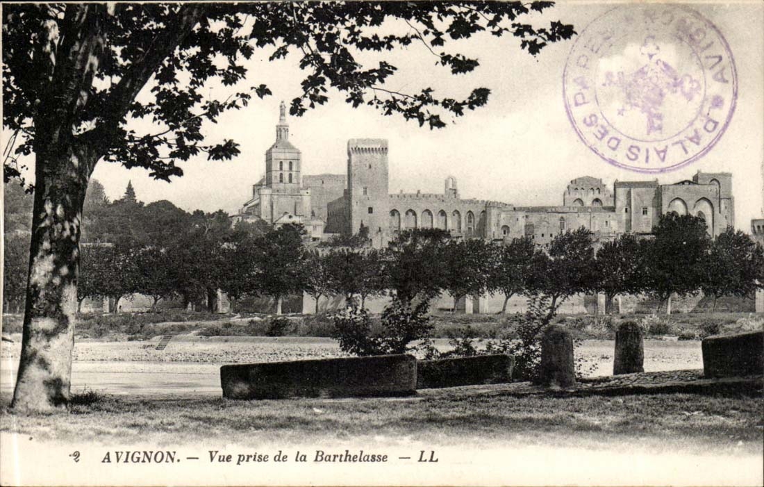 Avignon CPA Vue prise de la Barthelasse