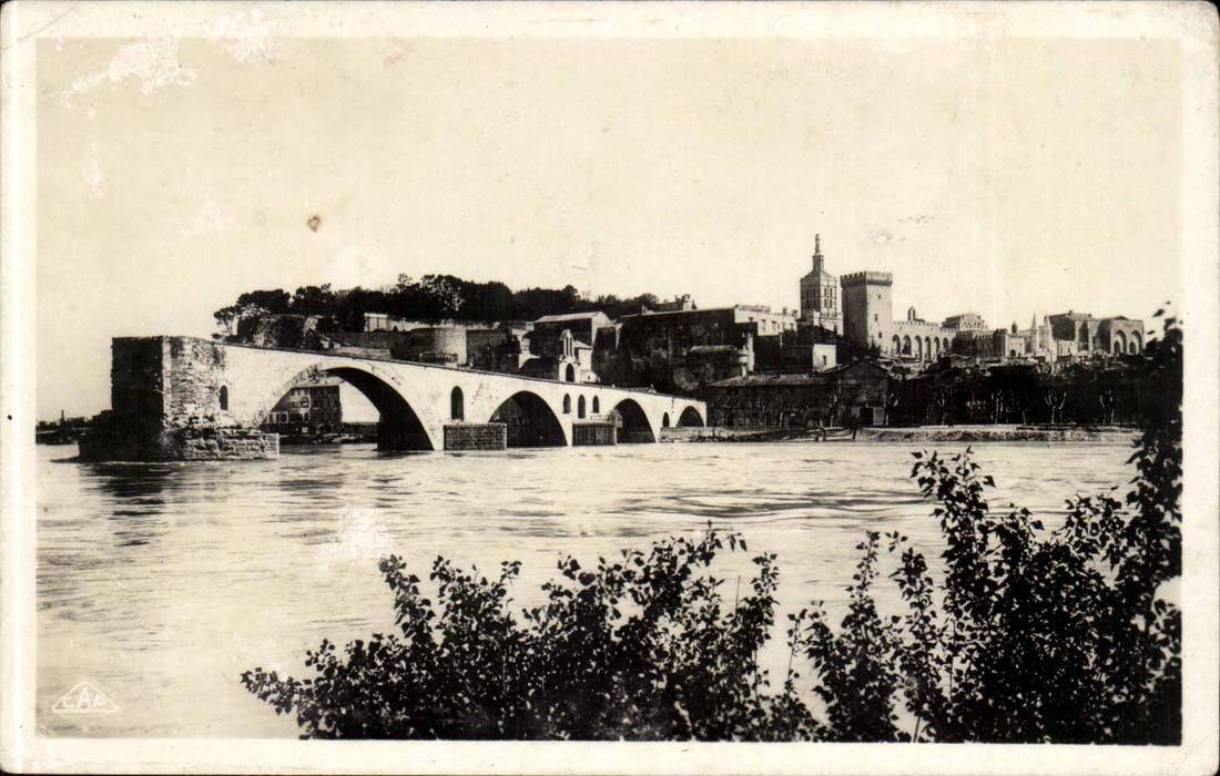 Avignon CPA Bords du Rhone et pont Saint Benezet
