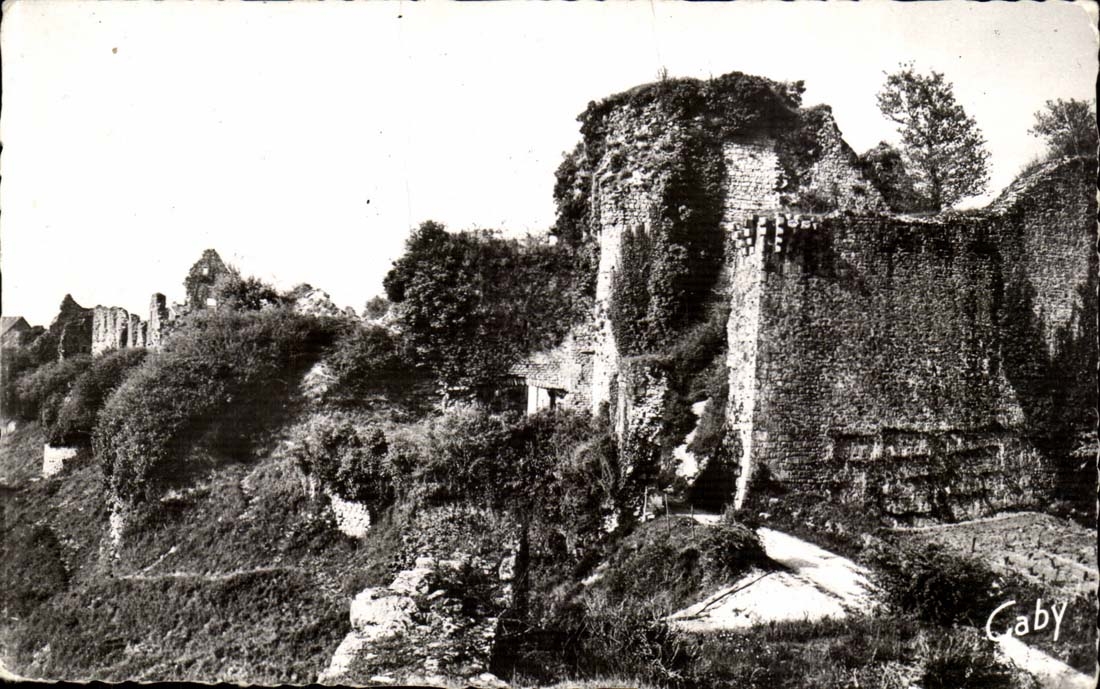 Ruines du Château de Giner de Bâtie — Tiffabes (Vendée) — Éditions Gaby